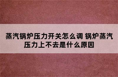 蒸汽锅炉压力开关怎么调 锅炉蒸汽压力上不去是什么原因